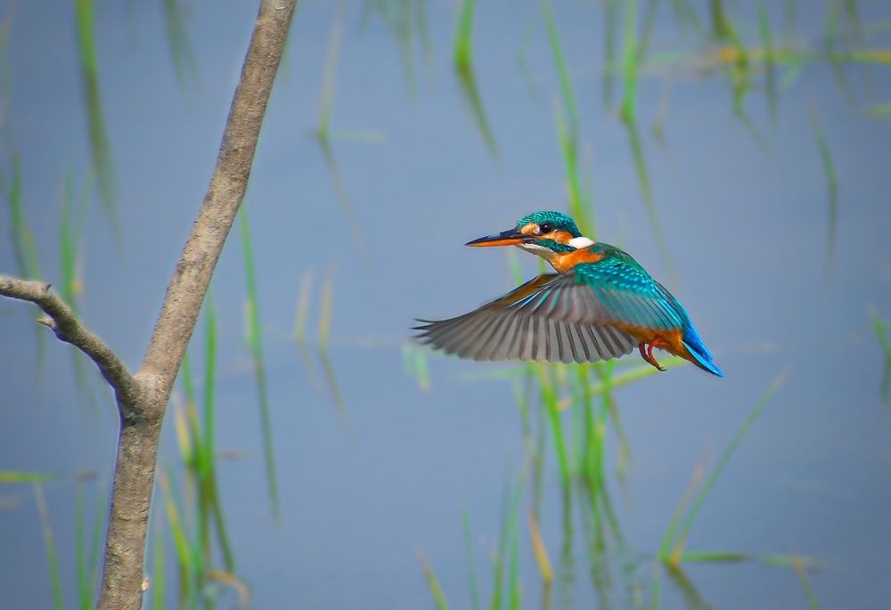 Photograph by Masum Mr