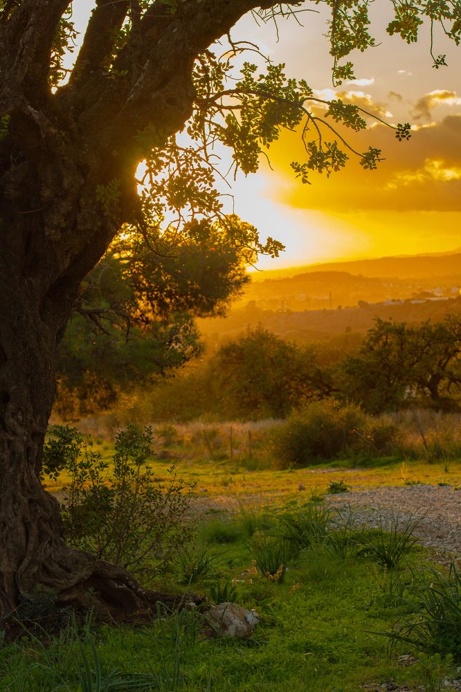 Photograph by Katerina Lapteva