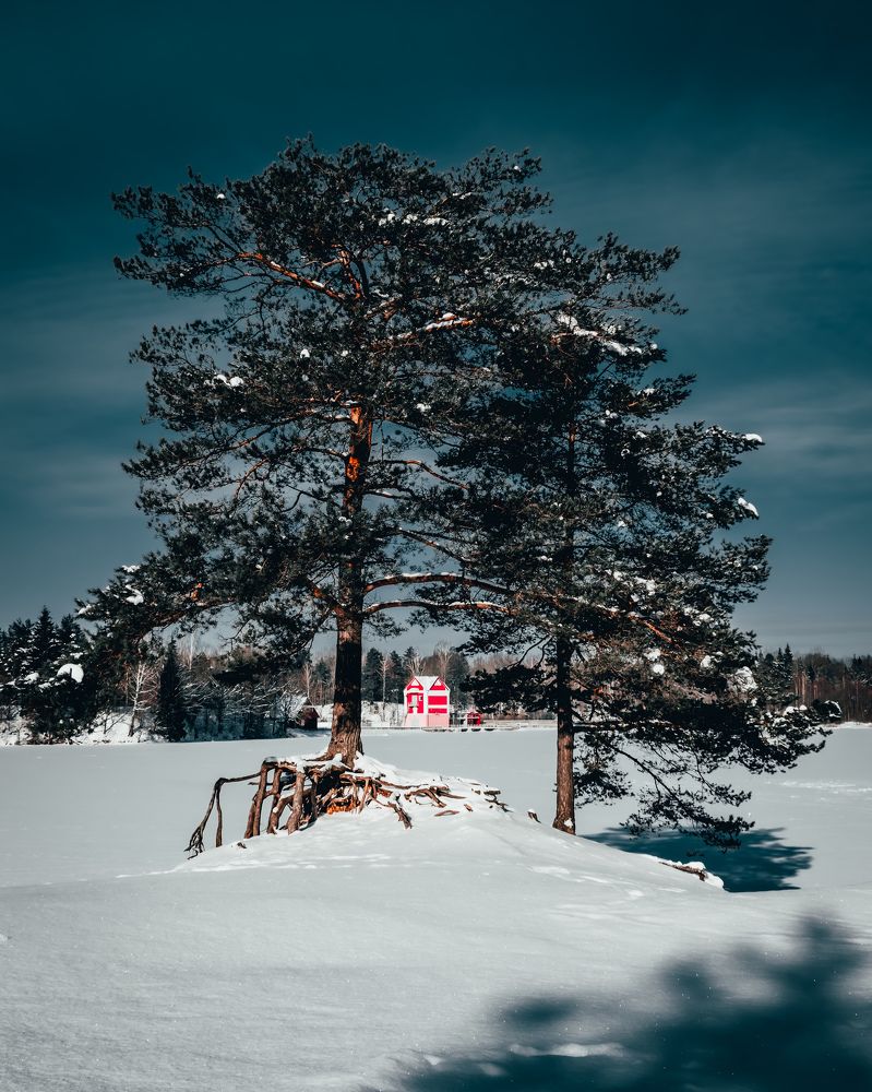 Photograph by Павел Агеев