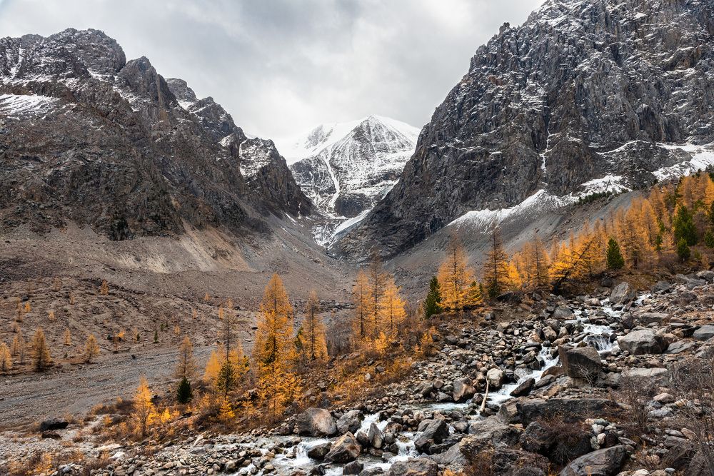 Photograph by Алексей Парфенов