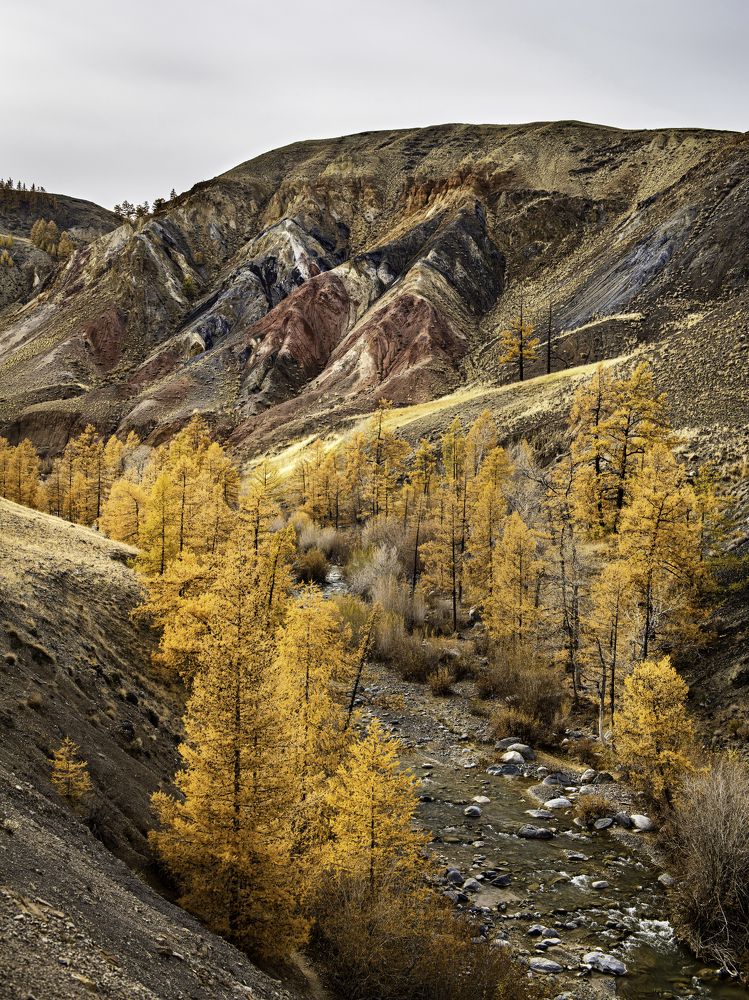 Photograph by Алексей Парфенов