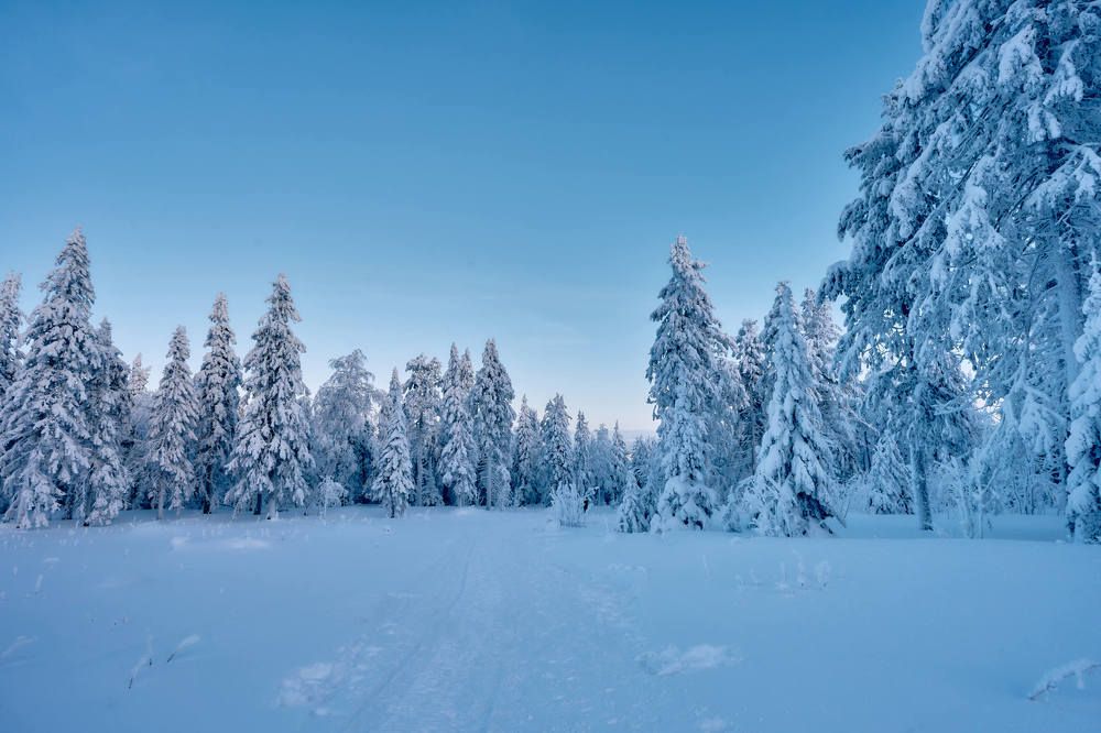 Photograph by Елена Мормоль