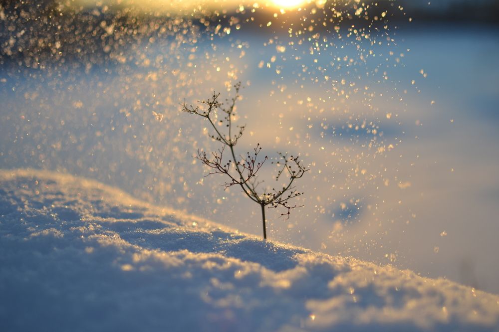 Планета Маленького принца