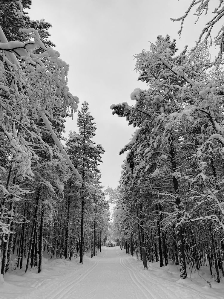 Photograph by Наталья Могилевская