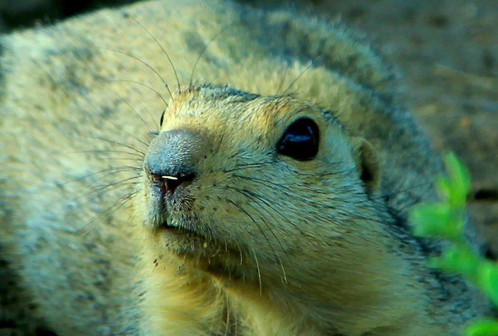 Photograph by Алтынбек Қартабай