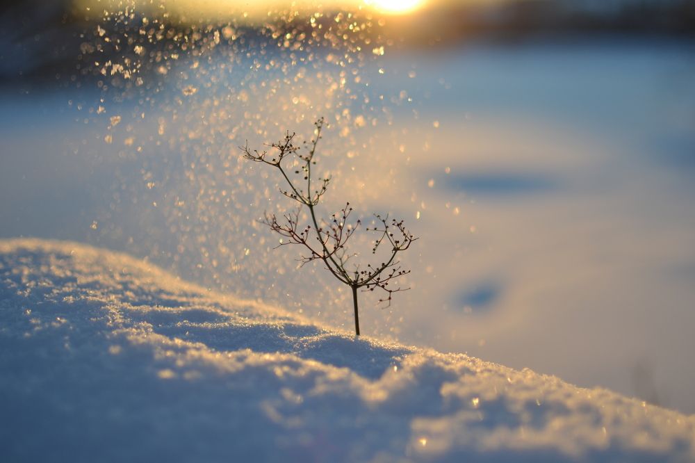 Photograph by Евгения