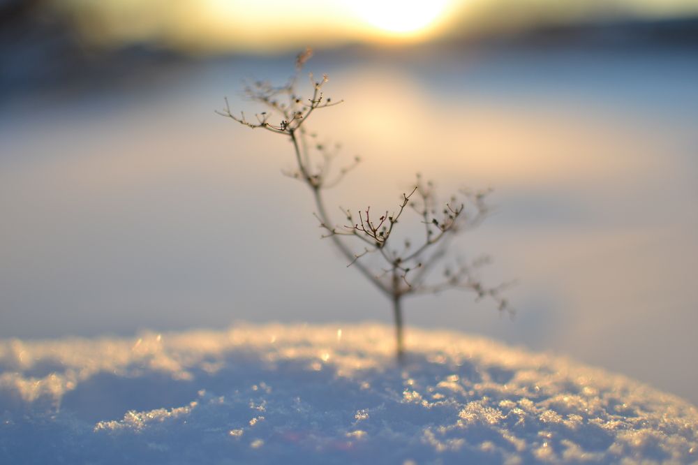 Photograph by Евгения