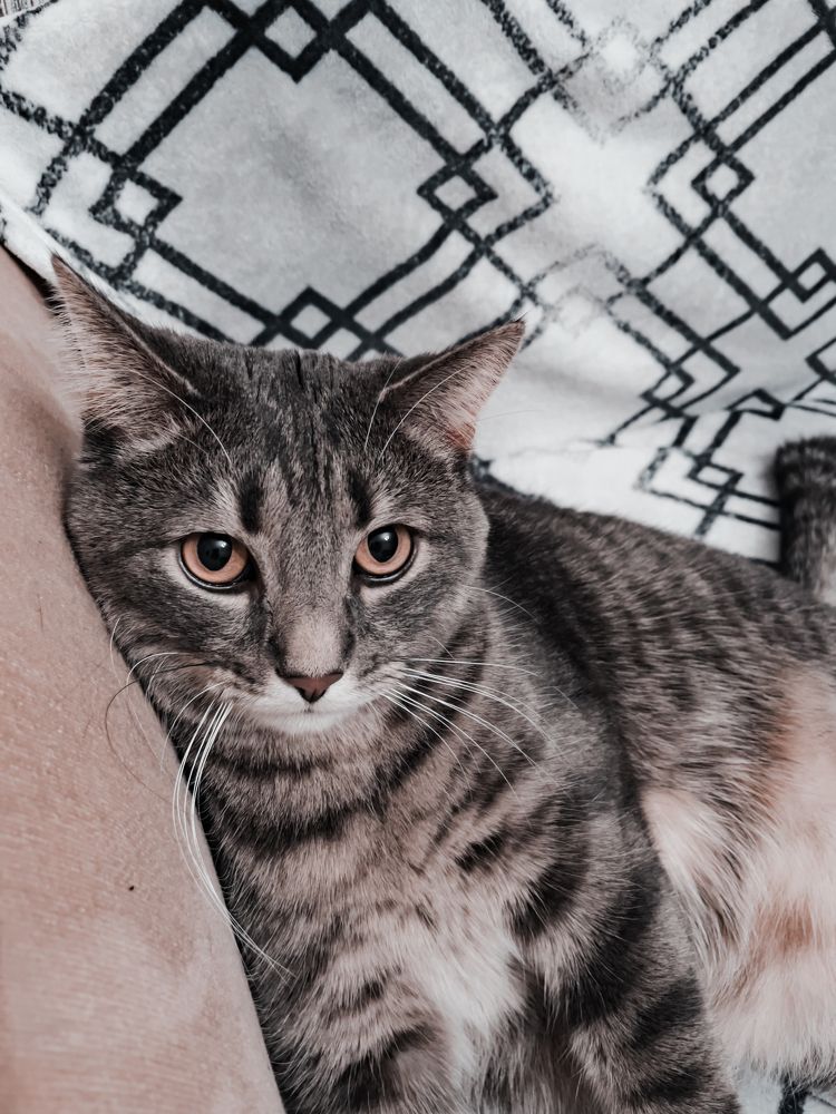 Photograph by Сергей Гаген