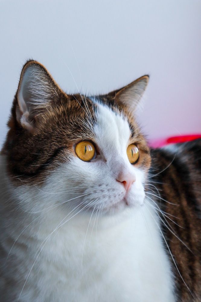 Photograph by Сергей Гаген