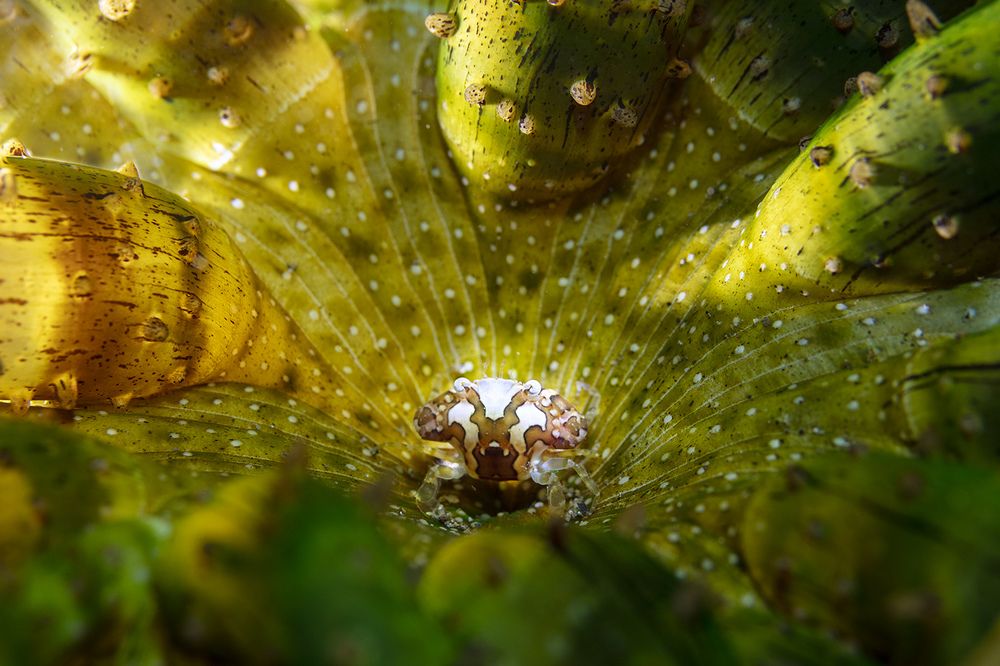 Photograph by Дериглазова Марина Владимировна