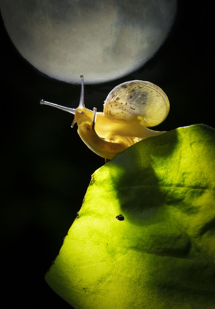 Photograph by Дериглазова Марина Владимировна
