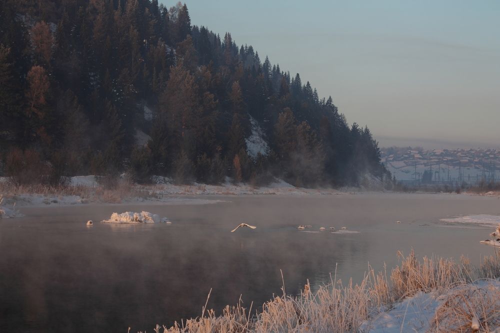 Photograph by Вера Олина