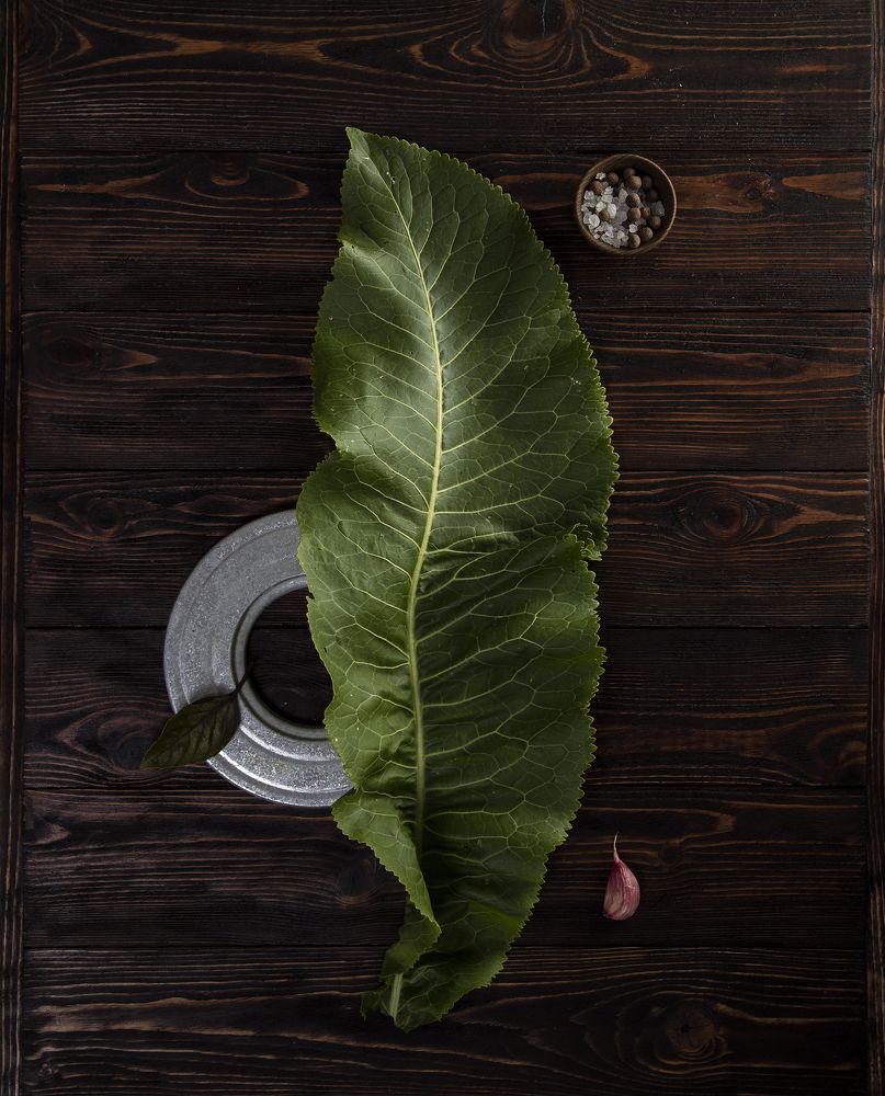 Photograph by Динеева Анна