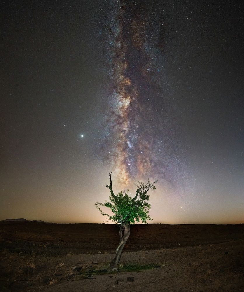 Photograph by Amir Khan