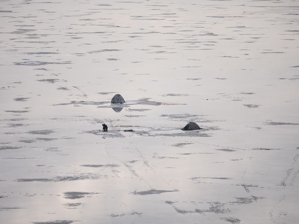 Photo #5907668