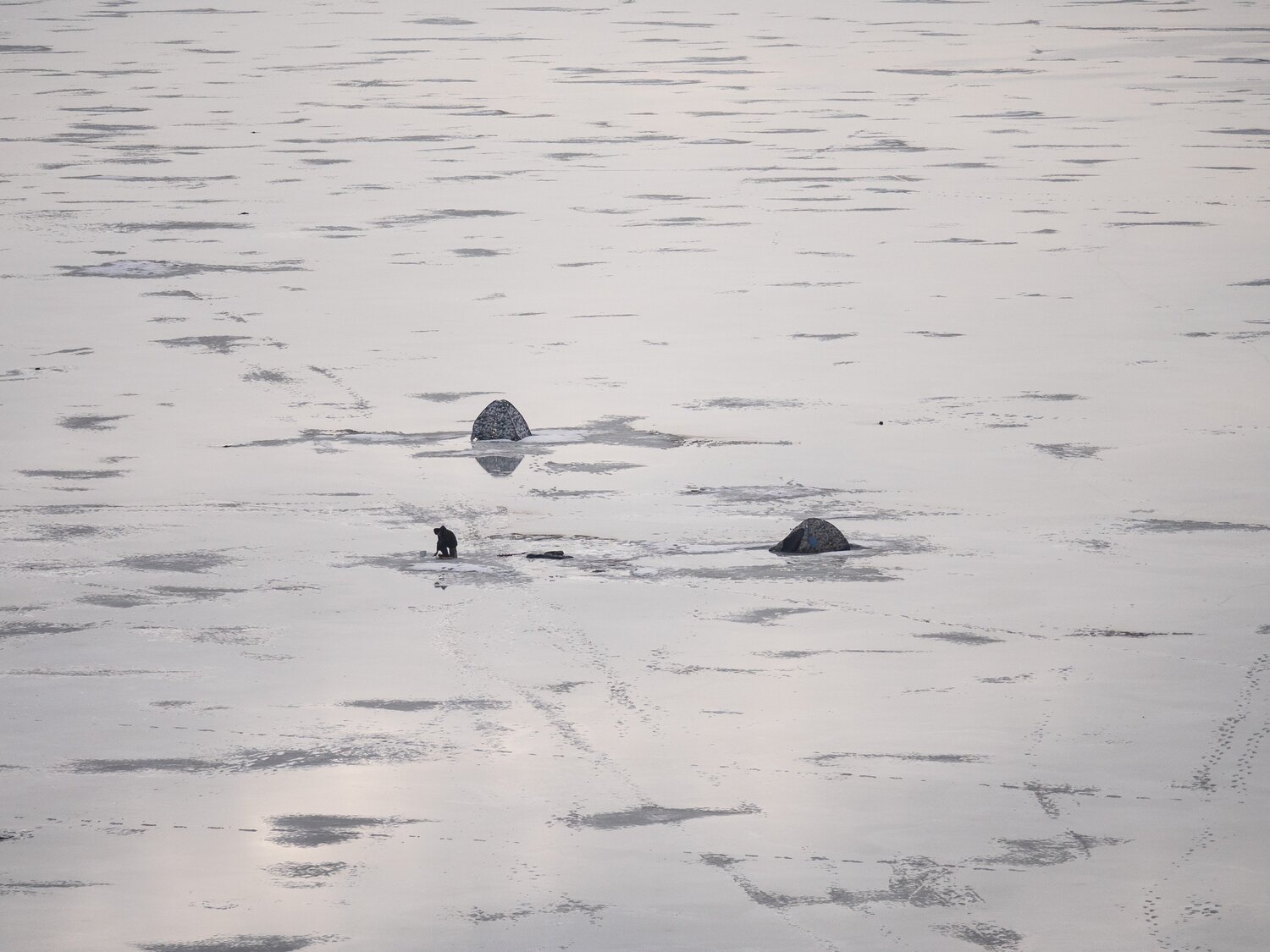 Photo #5907668