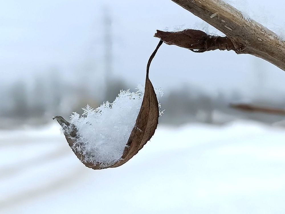 Колыбель для снежинок