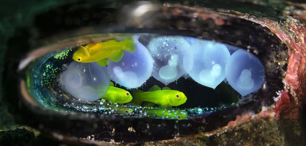 Photograph by Дериглазова Марина Владимировна