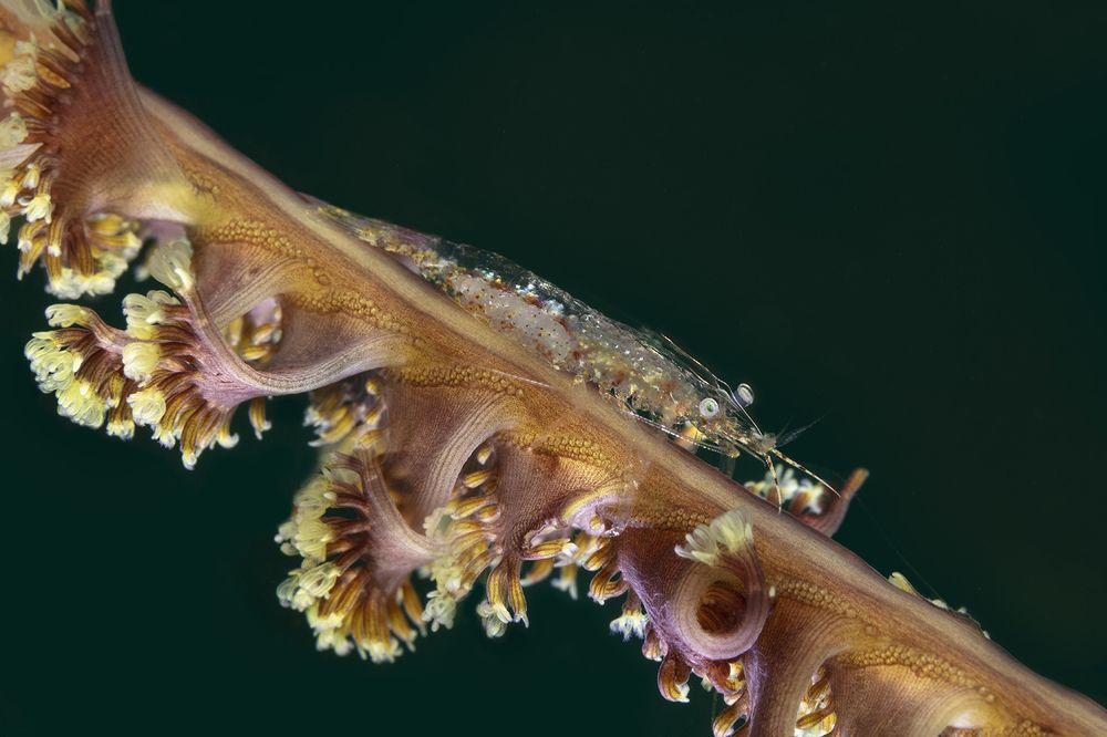 Photograph by Дериглазова Марина Владимировна