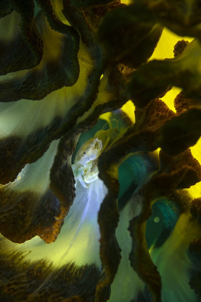 Photograph by Дериглазова Марина Владимировна