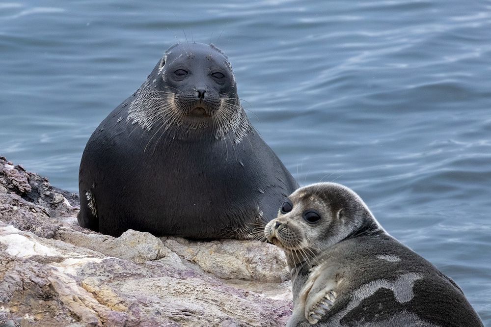 Photograph by Дериглазова Марина Владимировна