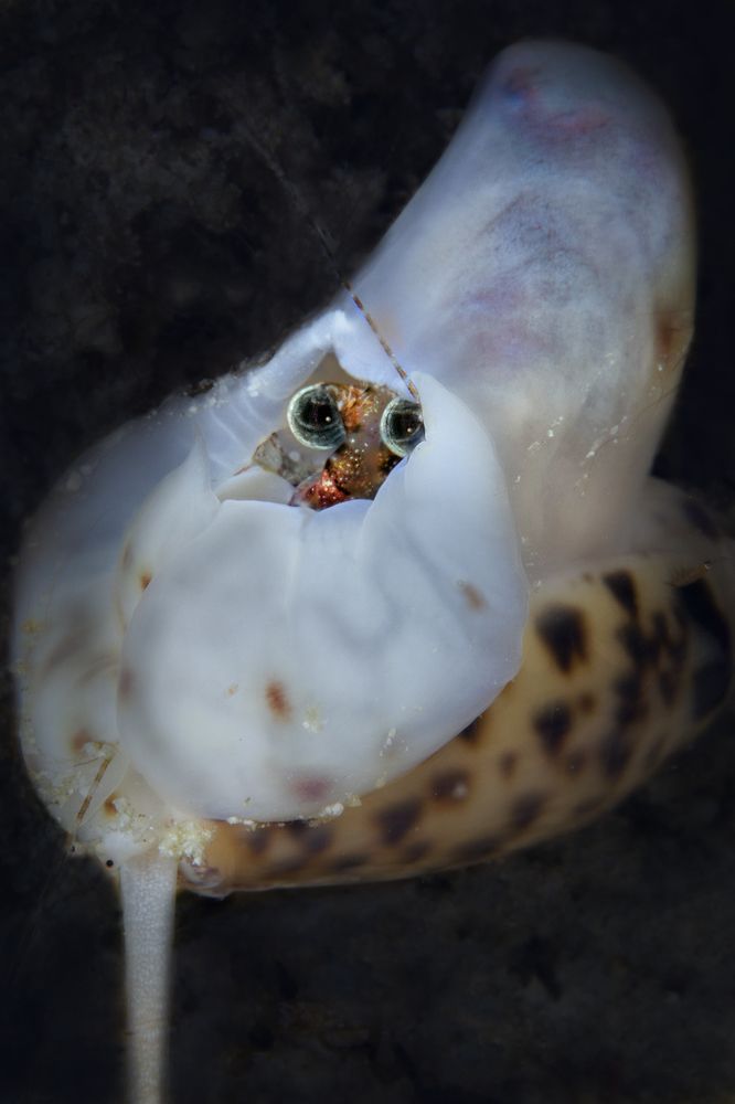 Photograph by Дериглазова Марина Владимировна