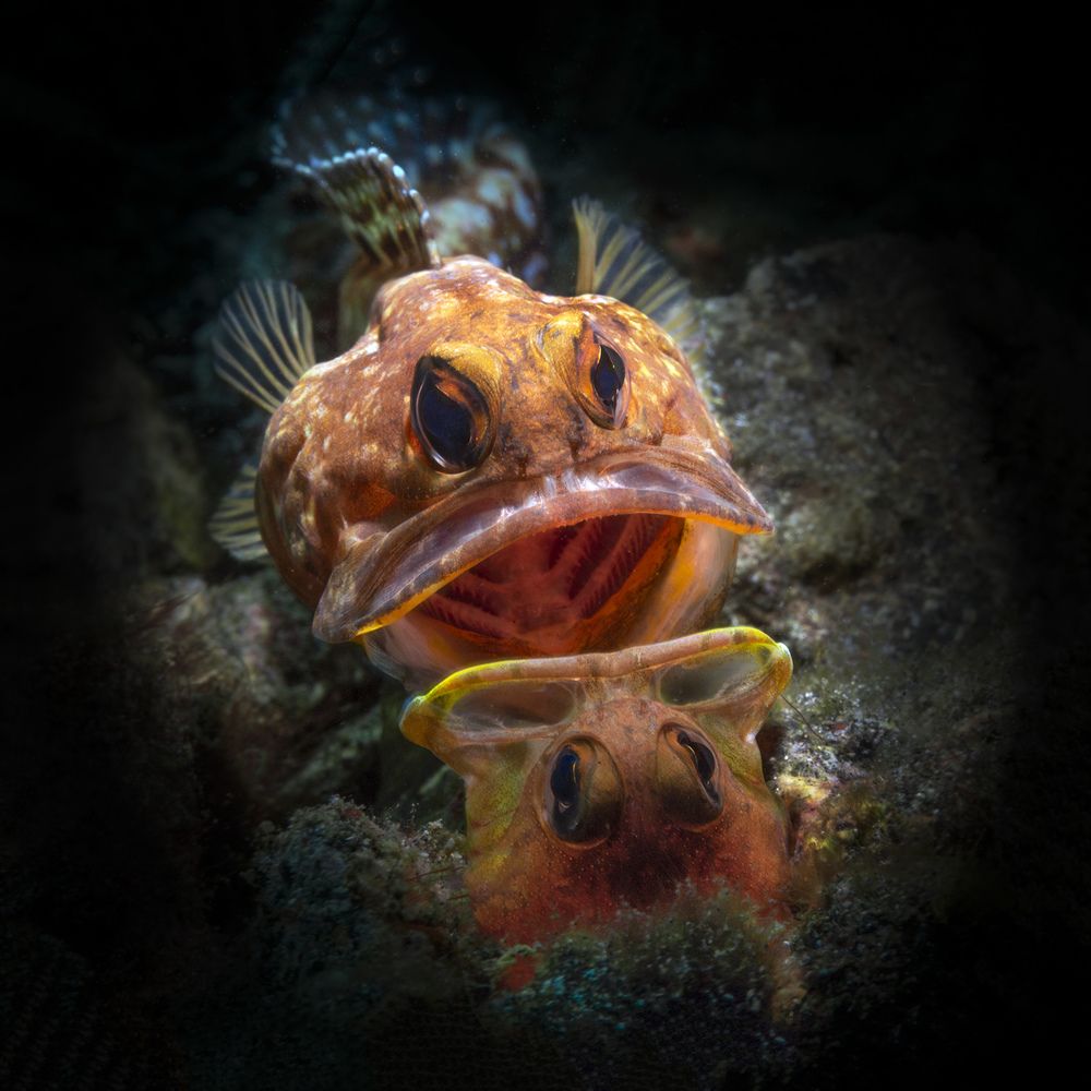 Photograph by Дериглазова Марина Владимировна