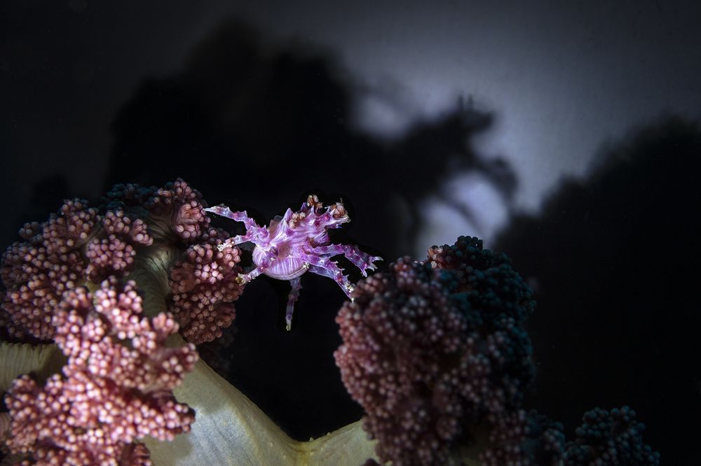 Photograph by Дериглазова Марина Владимировна