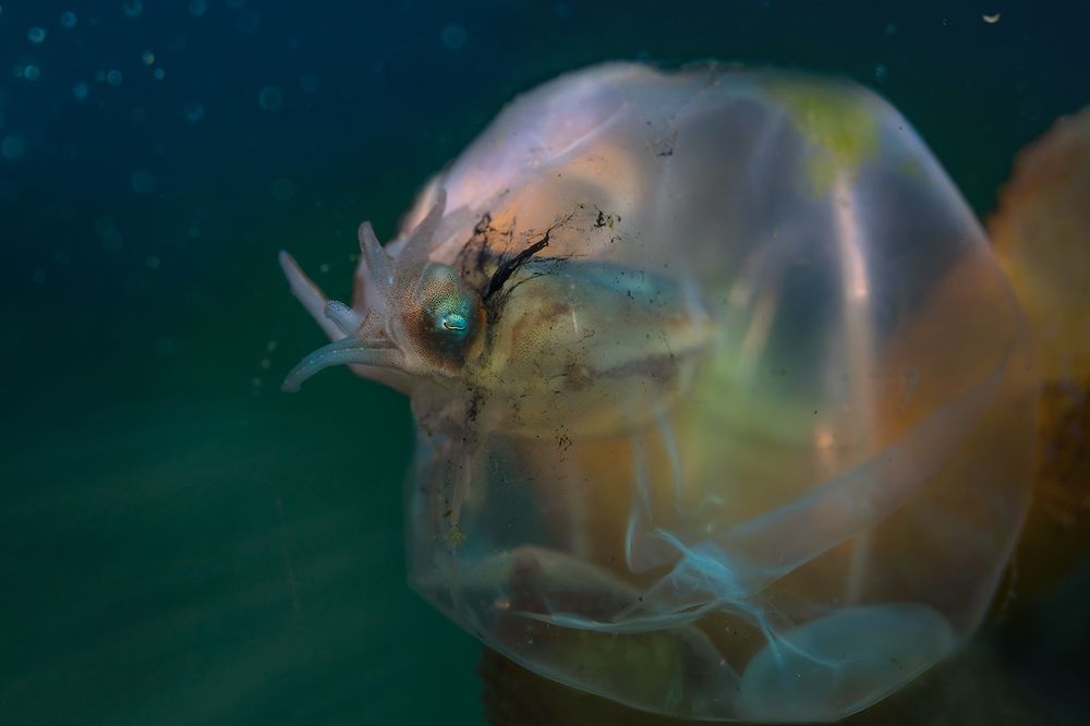 Photograph by Дериглазова Марина Владимировна