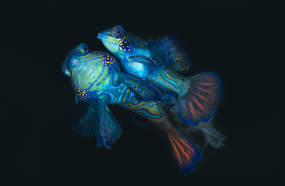 Photograph by Дериглазова Марина Владимировна