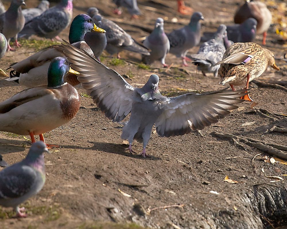 Photograph by Елена Мормоль