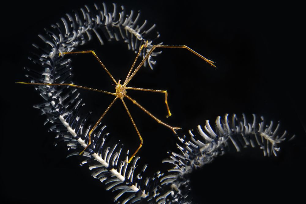Photograph by Дериглазова Марина Владимировна