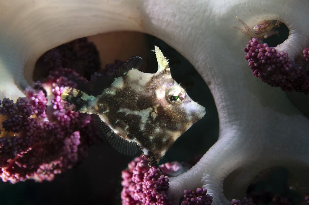 Photograph by Дериглазова Марина Владимировна