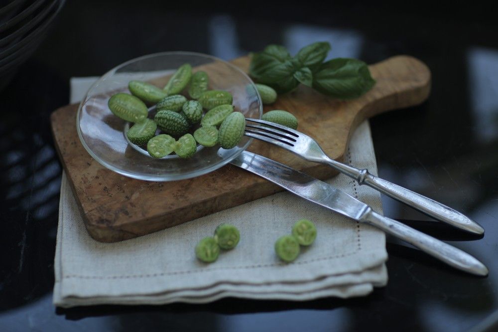 Photograph by Алла Оборина