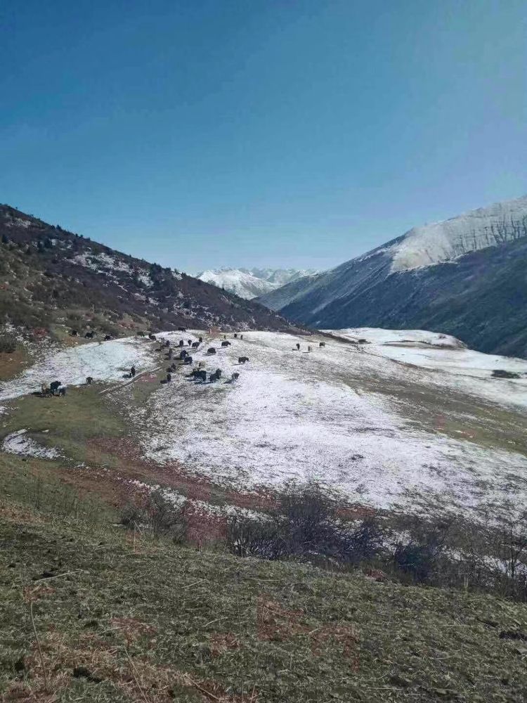 Photograph by Pema Tenzin