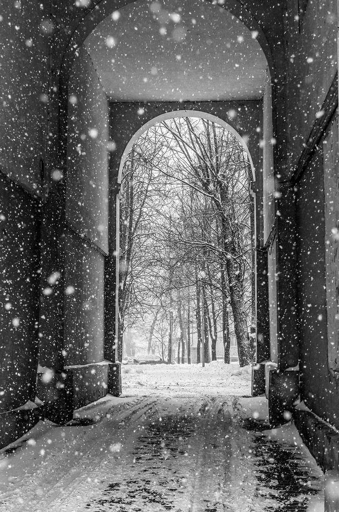 Photograph by Ольга