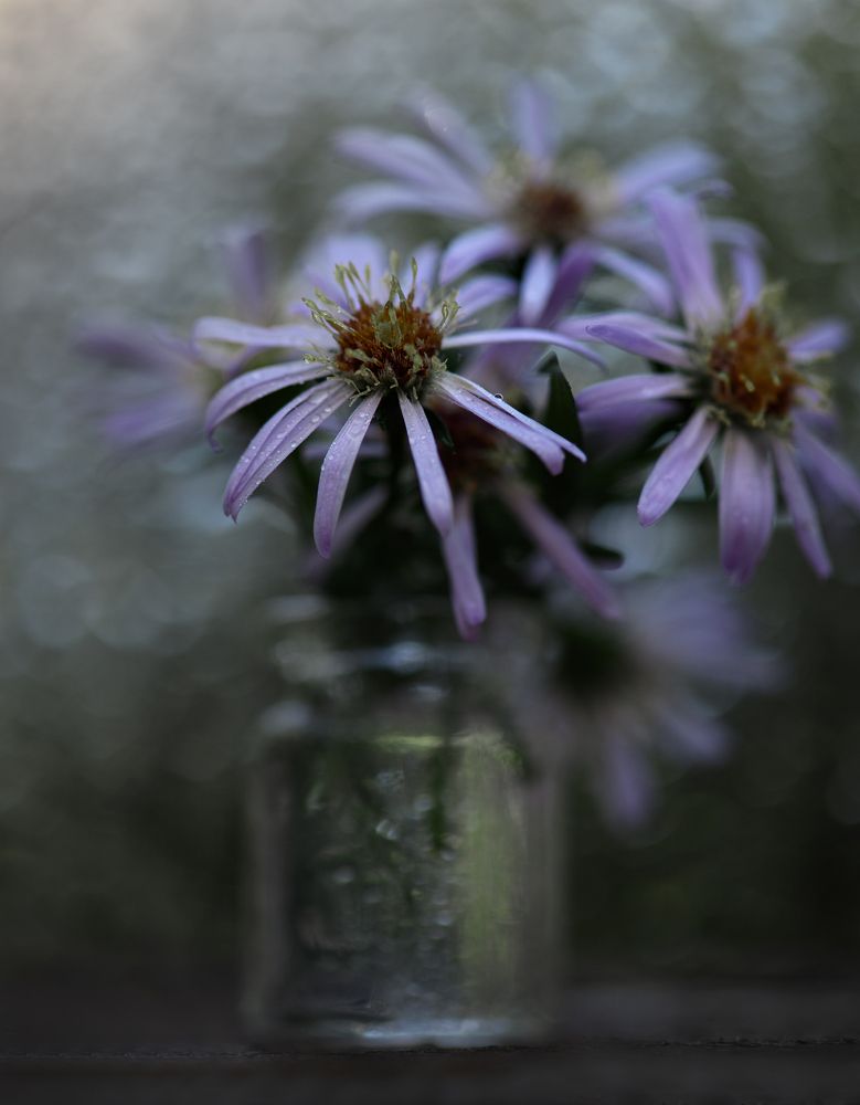 Tenderness