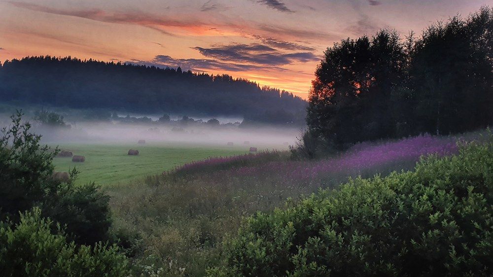 Summer evening.