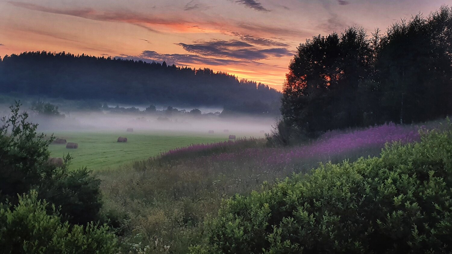 Summer evening.