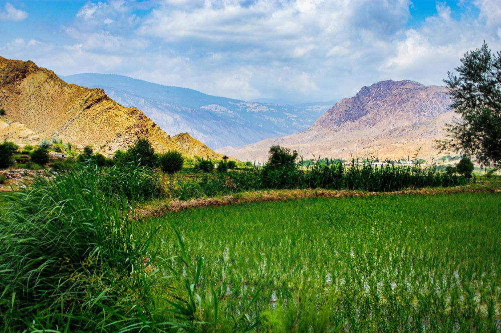 Photograph by Reza Nouri Qarahtekan