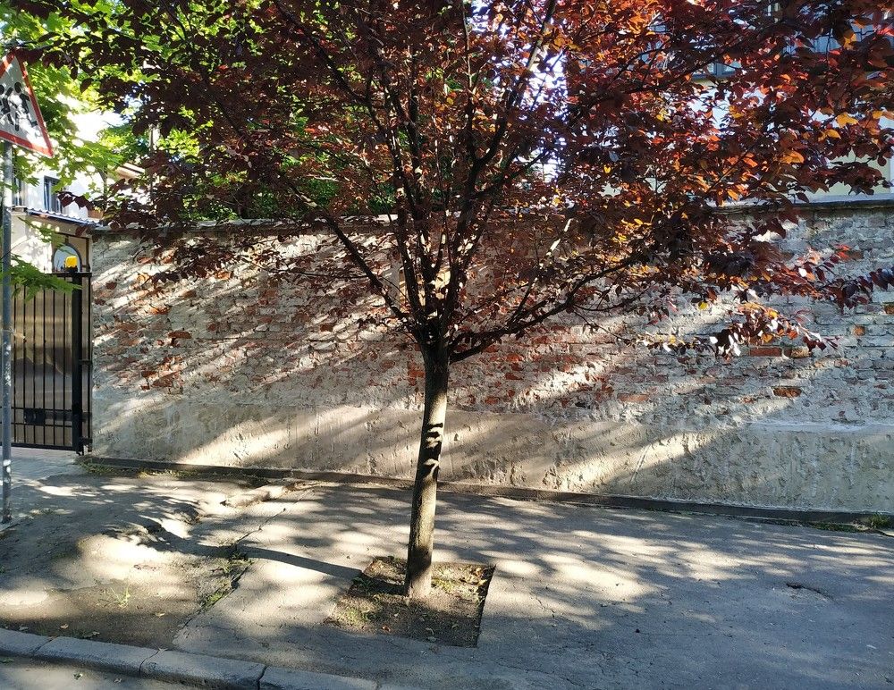 Photograph by Людмила Войтулевич