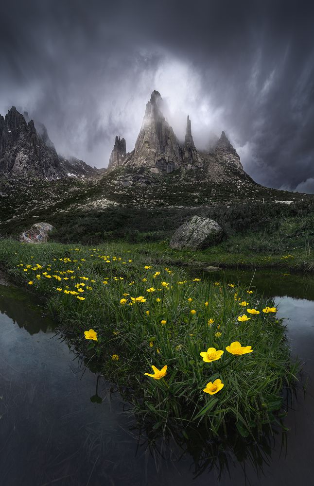 Photograph by He Jinyi