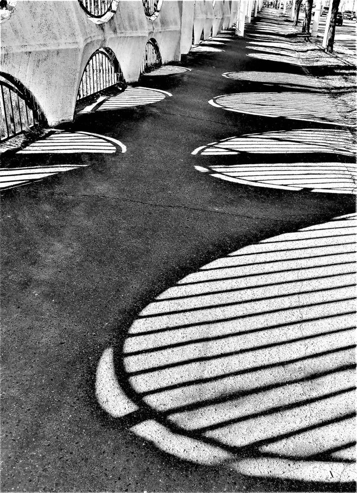 Photograph by Владимир Шнип