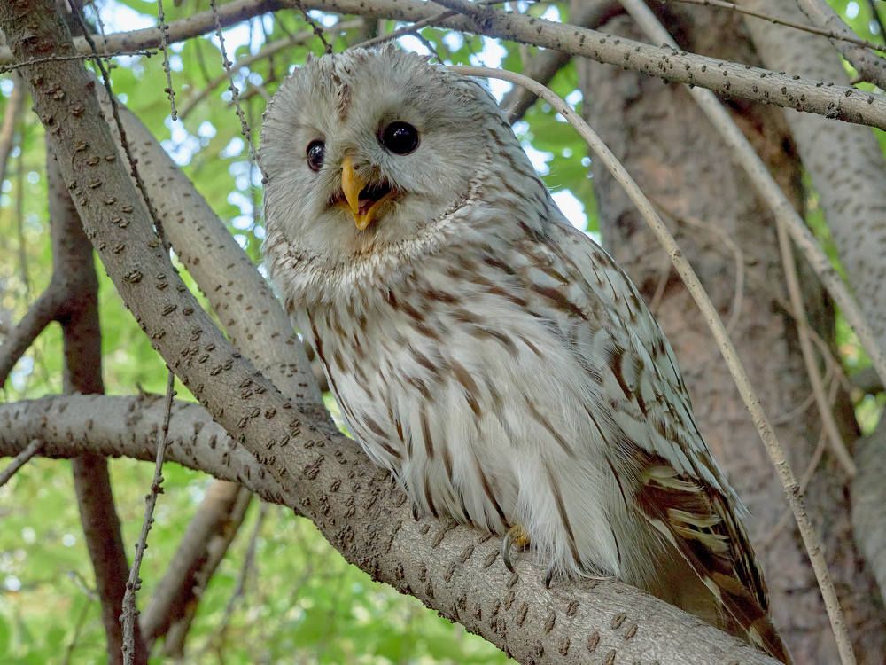 Photograph by Елена Мормоль