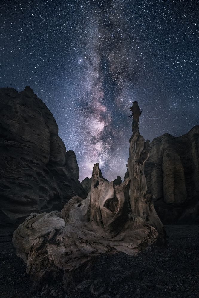 Photograph by He Jinyi