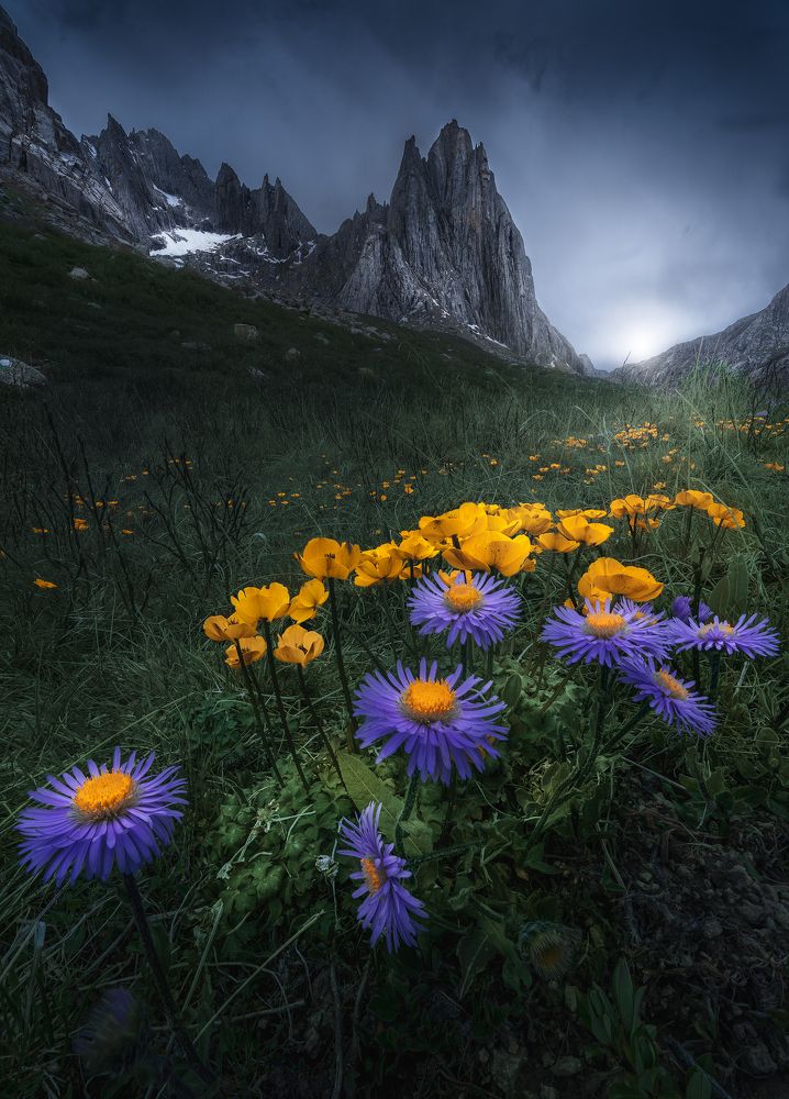 Photograph by He Jinyi