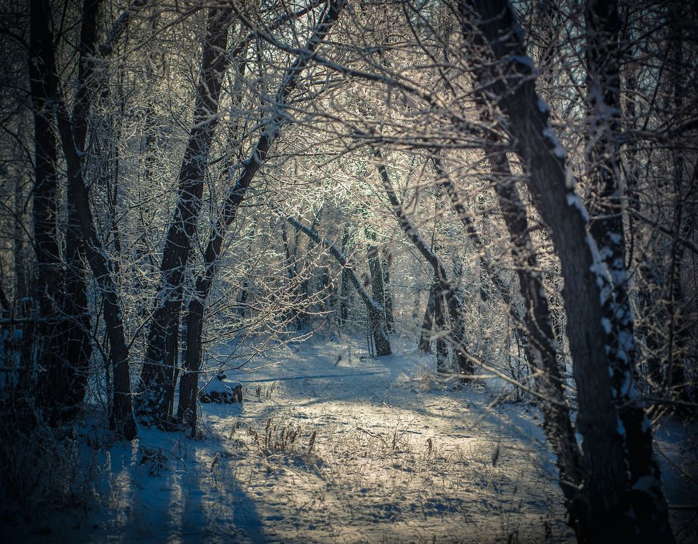 Photograph by Корнеевец Мария