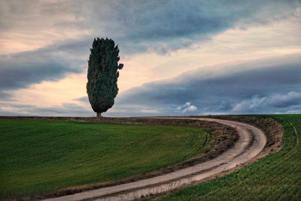 Photograph by Марина Неберекутина