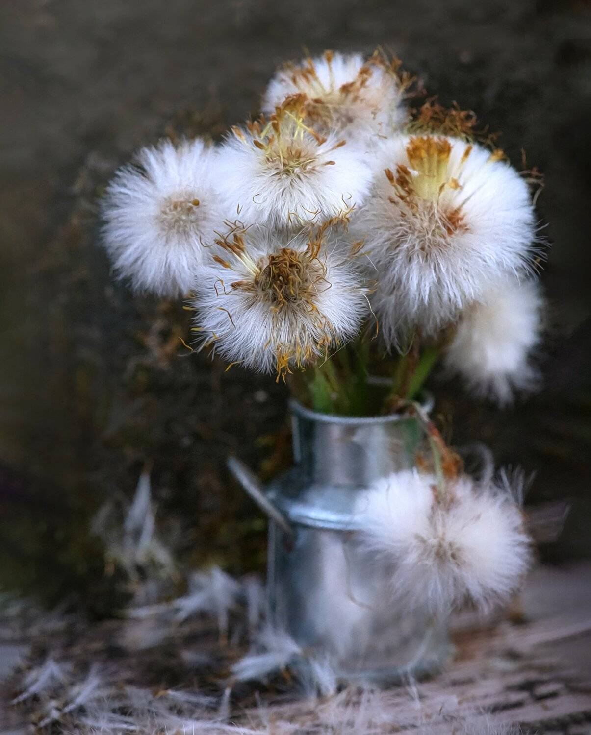 Dandelions.