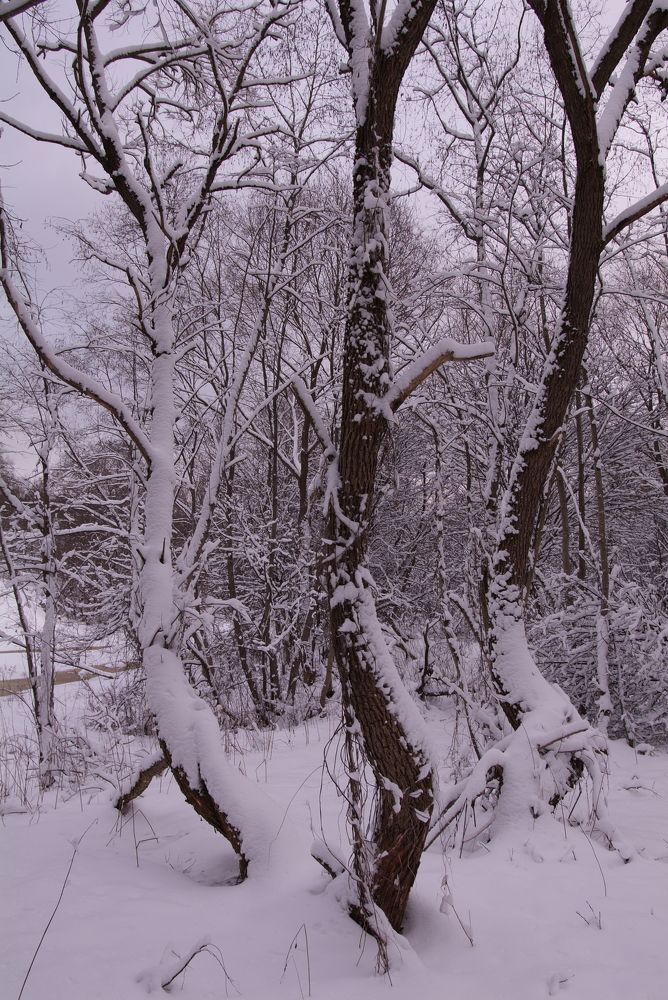 Photograph by Андрей Михайлов